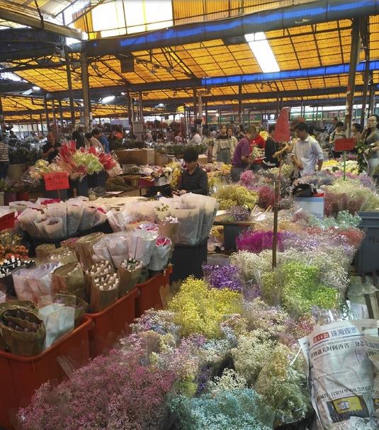 Lingnan Flower Market in Guangzhou, China-4