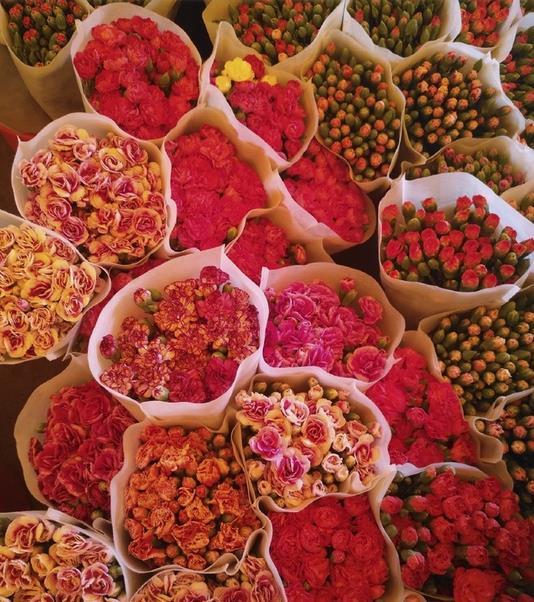 Guangzhou Lingnan Flower Market | Business in Guangzhou