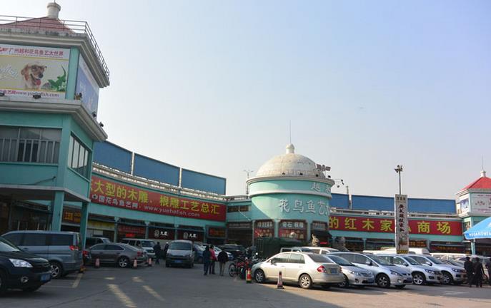 Yuehe Flower, Fish and Bird Market in Fangcun, Guangzhou-1