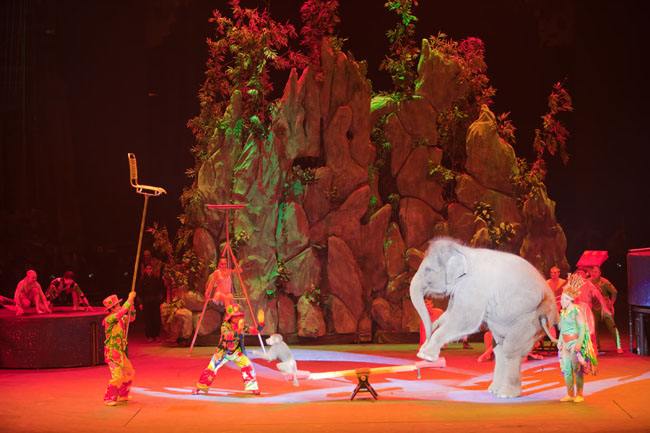 Chimelong International Circus