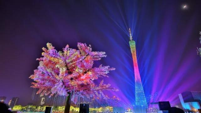 Light of the Tree--The 7th Guangzhou International Light Show