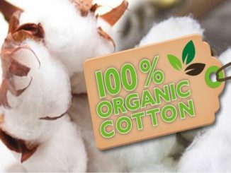 Organic Cotton Clothing