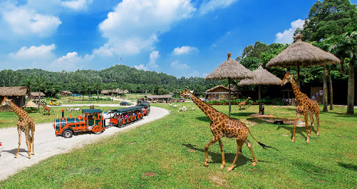 Chimelong Safari Park