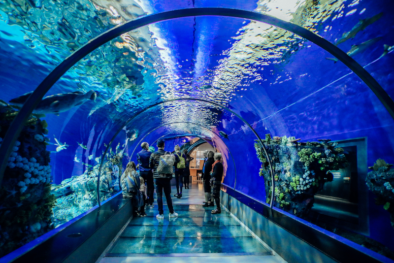 Shanghai Ocean Aquarium