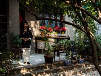 Chinese Style Tea Houses in Shanghai